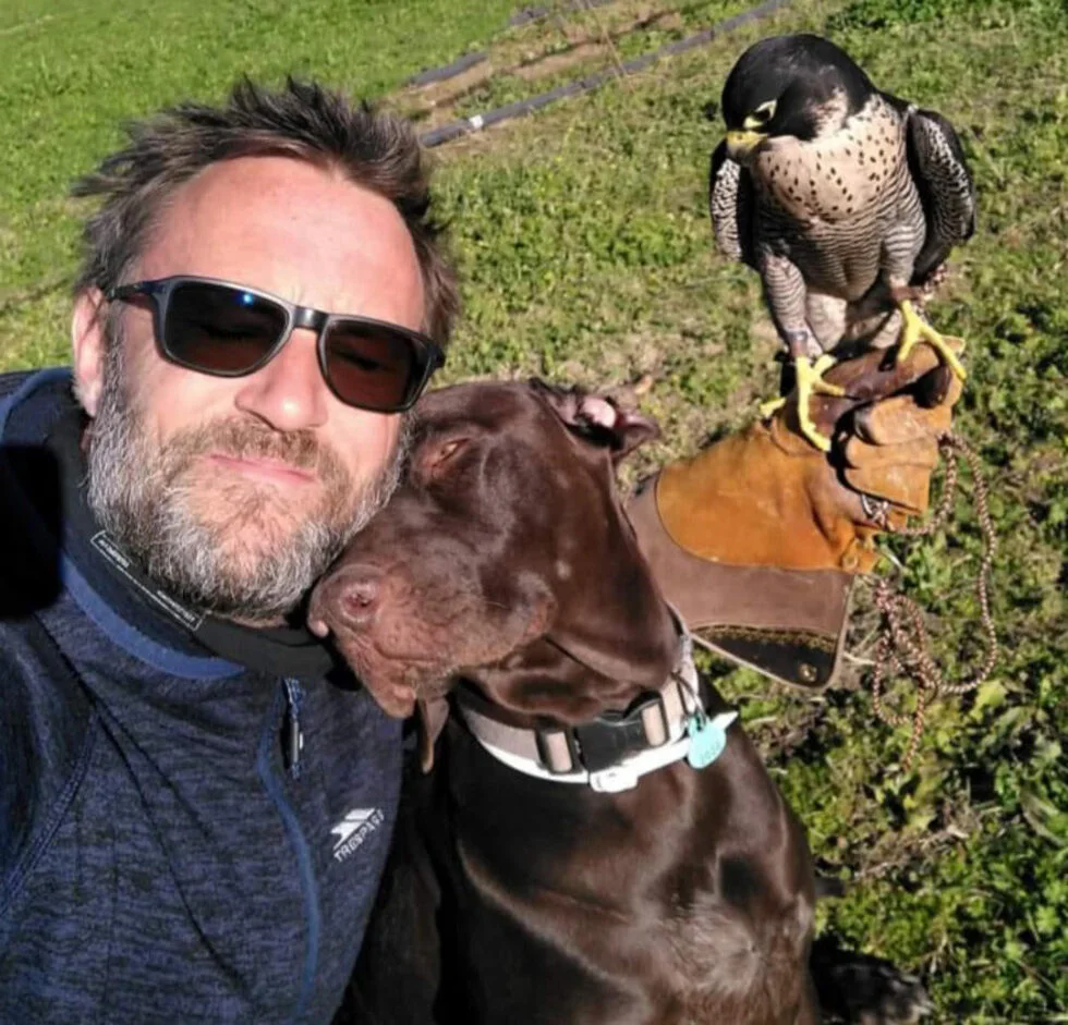 Falcon hunting with GSP'S