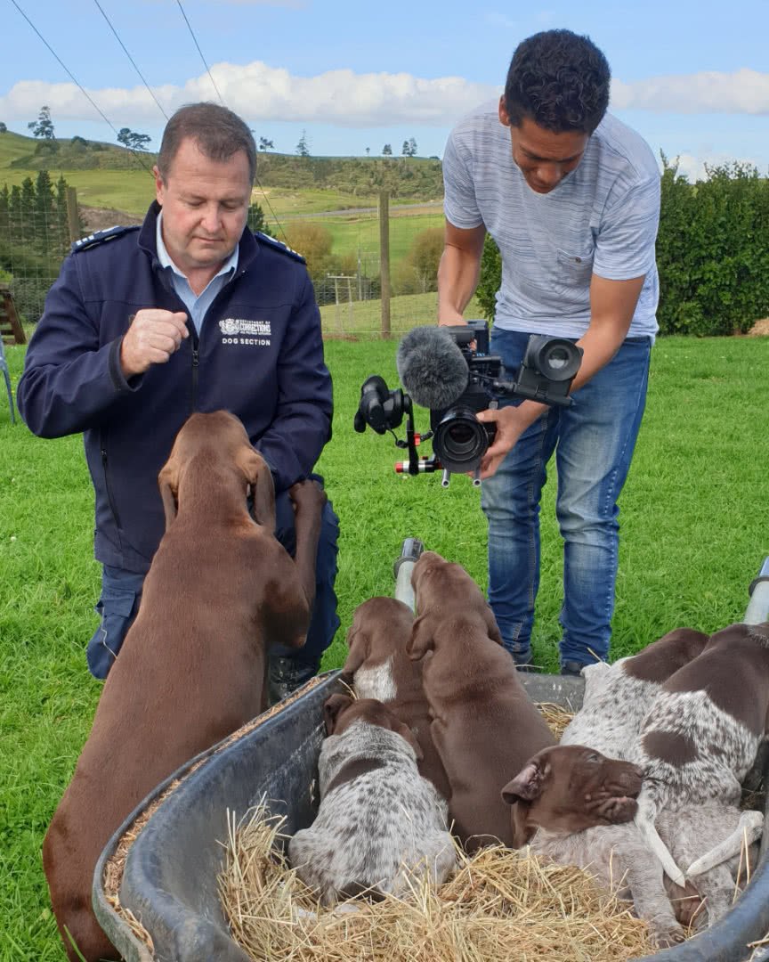 Filming For The NZ dog squad