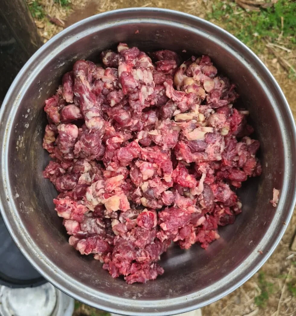 My special puppy mix 20% Fat mince with no Preservative
