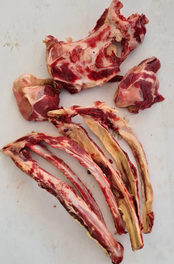 Perfect bones for very young pups
