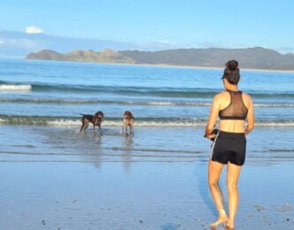 Spirits Bay headland Ashley 510